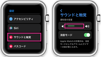 Apple Watchのボリューム調整